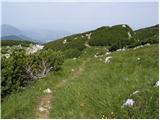 Najberž - Wackendorfer Spitze